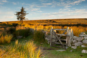 Dartmoor Photographer - Things to Photograph in Autumn - Sunrise