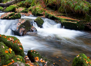 Dartmoor Photographer - Things to Photograph in Autumn - Flowing Water