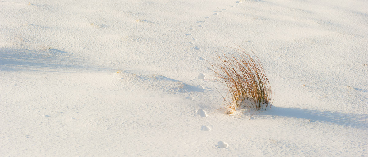 Dartmoor Photographer - Winter photo Pack