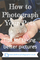 How to Photograph Your Pets