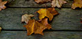 Dartmoor Photographer - Autumn Photo Pack